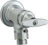 293-e27cp Chicago Faucets Wall Mounted Hose Faucet Chrome 611943119713