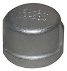 32-2959 Larsen Supply Ss Pipe Cap 052151301789