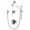 C-96-500-b30-v-x-ips Symmons Temptrol Commercial Shower Hand System Chrome