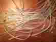 E-3603 Tygon Tubing 1 8 Od 16 Id 50x 8.5 Inch Pieces E-3603 Tygon Tubing 1 8 Od 16 Id 50x 8.5 Inch Pieces