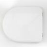 Ftb4114 Fixthebog Replica Ideal Standard White Brasilia Resin Seat Cover And