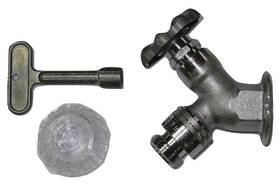 Proflo 781889342183 Pfwfd 1/2 Inch Fpt Inl Nf Area Wall Faucet - Chrome