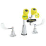 Sef-1800-calftw Speakman Eyesaver Laboratory Gpm Widespread Chrome 671252096808