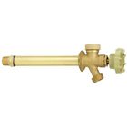Vff-asp-c19pa Homewerks Anti-siphon Frost Free Sillcock