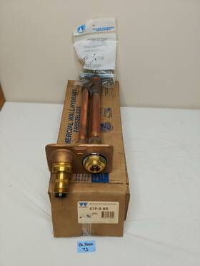 Woodford 671090039142 Model B67 Wall Hydrant P Inlet 67p-8-br