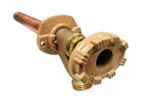 Woodford Reserve 16p-12 Model 16 Freezeless Pipe Thread Inlet Wall Faucet
