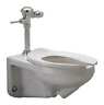 Z5615.258.01.00.00 Zurn Gpf Flush Valve Wall Mount Elongated 0670240447844