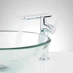 Hollyn Single-hole Vessel Faucet With Pop-up Drain By Signature Hardware. Fixed Price $69.00.