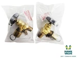 Rego Line Station Valve, W/cap And Chain- 7160V Usa. Nos. Fixed Price $24.99.