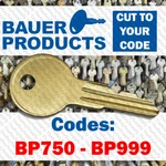 Replacement Key BP750-BP999 L-handle Topper Camper Cabinet Garage Door Gas Cap. Fixed Price $6.99.