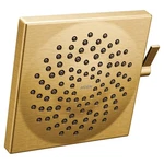 Moen Velocity S6345BG Multi Function Shower Head,brushed Gold *new*. Fixed Price $319.99.