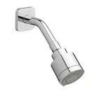 American Standard D3510077C.100 "rem" Showerhead Arm & Flange Flow 1.8 Gpm. Fixed Price $165.00.